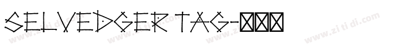 Selvedger Tag字体转换